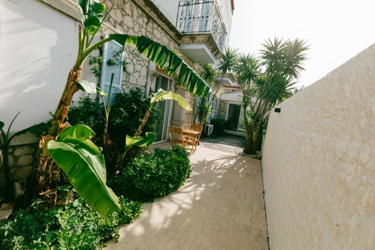 拉莱小屋酒店 阿拉恰特 外观 照片